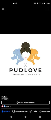 Pudlove Salon fryzjerski dla psów i kotów Oliwia Petrr